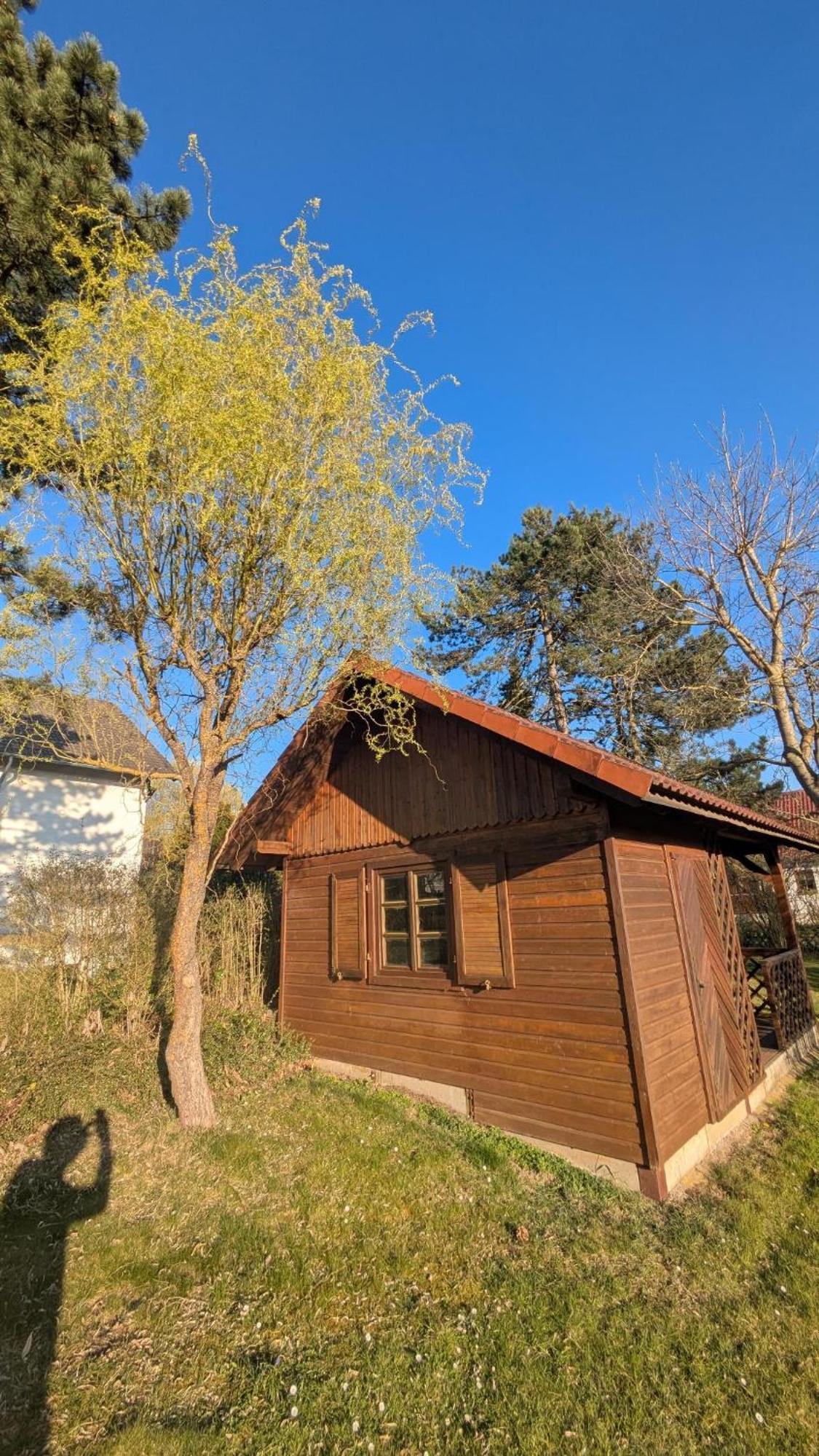 Landhotel Sonneneck - Breuna Im Naturpark Zewnętrze zdjęcie