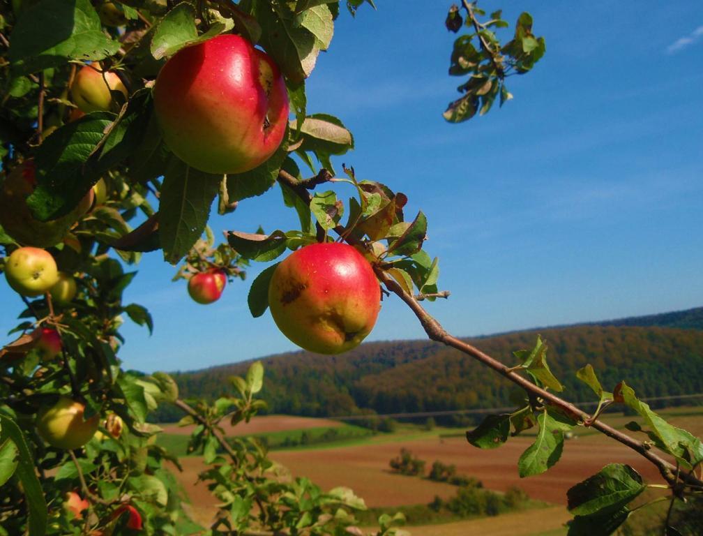 Landhotel Sonneneck - Breuna Im Naturpark Zewnętrze zdjęcie